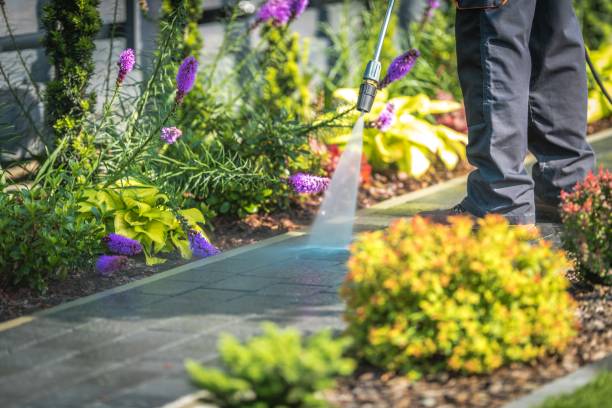  Westwood, KY Pressure Washing Pros